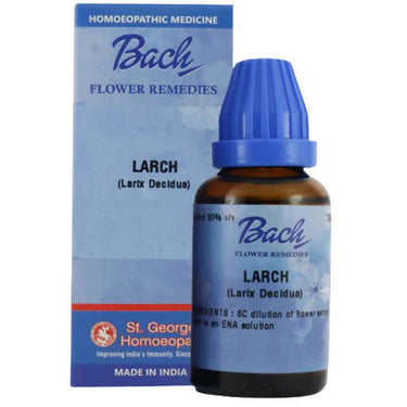 https://cdn.shopify.com/s/files/1/1857/6931/products/BYk45YDFTq.jpg?v=1644821820